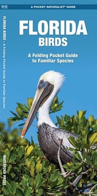 Florida Birds : A Folding Pocket Guide to Familiar Species, Paperback by Kava...