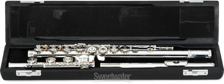 Flauta intermedia Selmer SFL411BEO con llaves plateadas Foto 4 de 4
