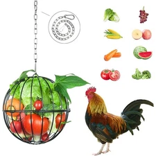 Hanging Chicken Feeder W/ Stainless Steel Chain Fresh Fruits & Vegetables New