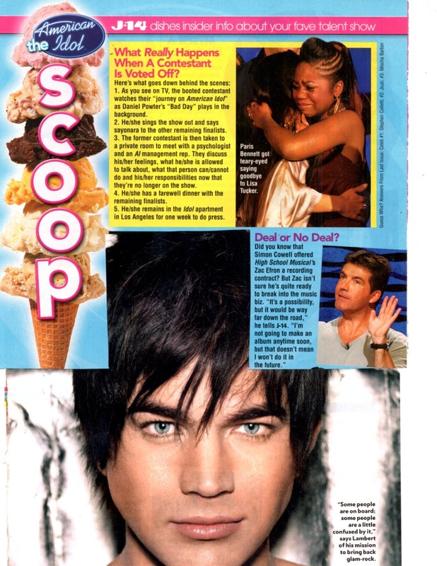 AMERICAN IDOL 1 pound clippings lot-- 20+ years Simon Cowell+ryan+ singers!