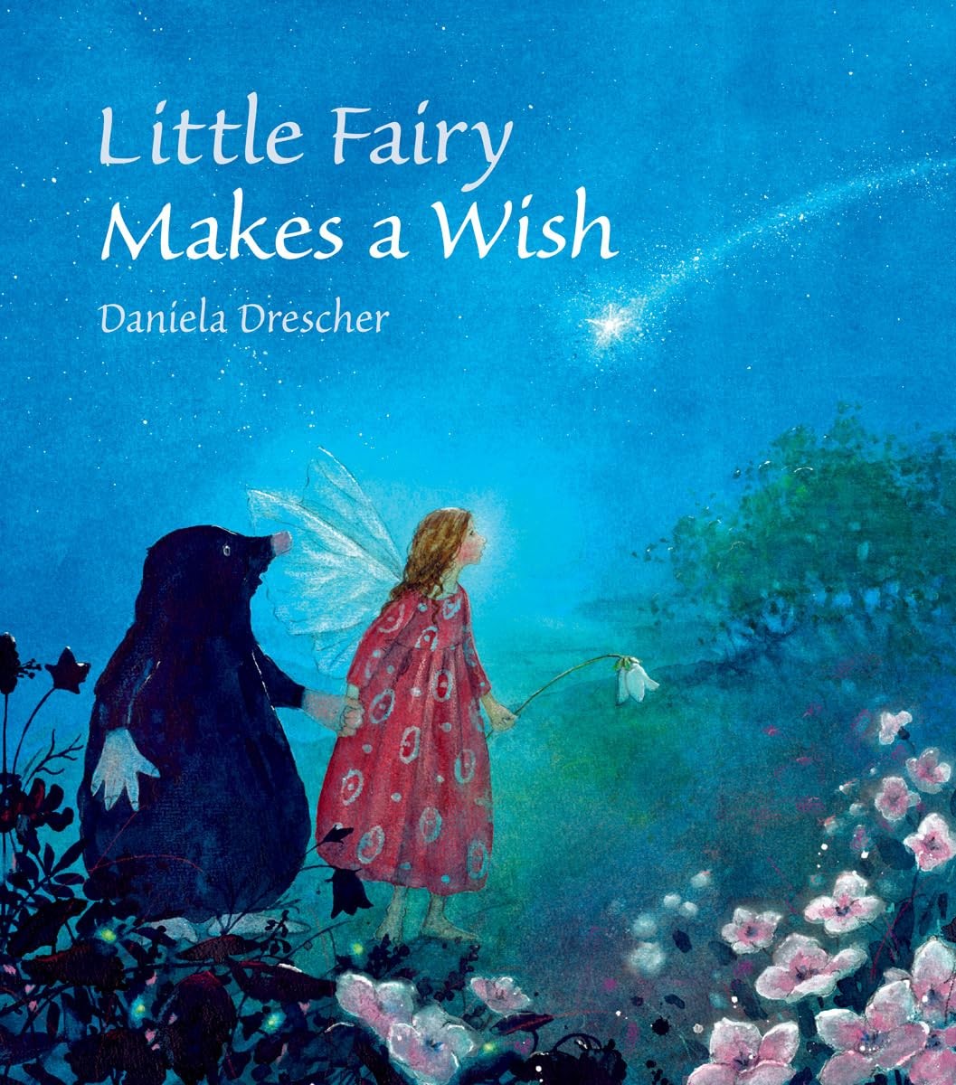 Little Fairy Makes a Wish Daniela Drescher Childrens Picture Book Age 3-7 - Image 9