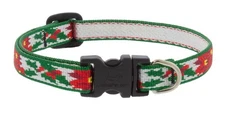 Lupine 1/2" Dog Collar or Leash - Pointsettia Design