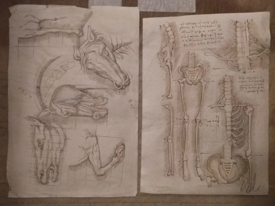 Anatomical studies from Leonardo da Vinci Codex ORIGINAL Ink Drawing - Image 4 of 4