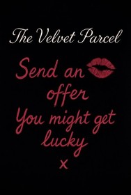 Agent Provocateur Stephanee Bra &ndash; Navy Satin Lace 34DD / 12DD &ndash; BNWT - RRP $250