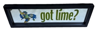 2006 Corona Extra ~ Advertising Mirror  Got Lime?  Framed Parrot Modelo 18'' x 6 