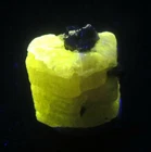 16 CARATS FLORESCENT APATITE WITH TOURMALINE @ PAKISTAN, DE-61