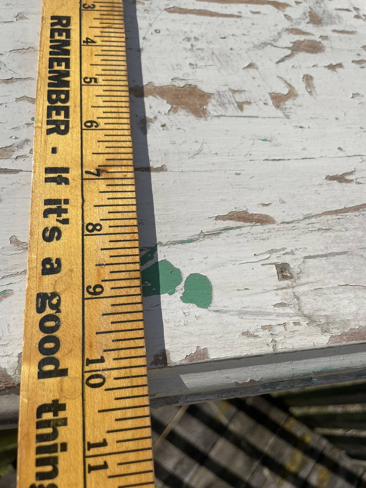 Picture 13 of 14