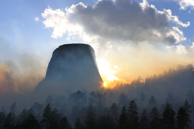 Landscape fog mist nature trees sunlight clouds wyoming Custom Gaming Mat Desk
