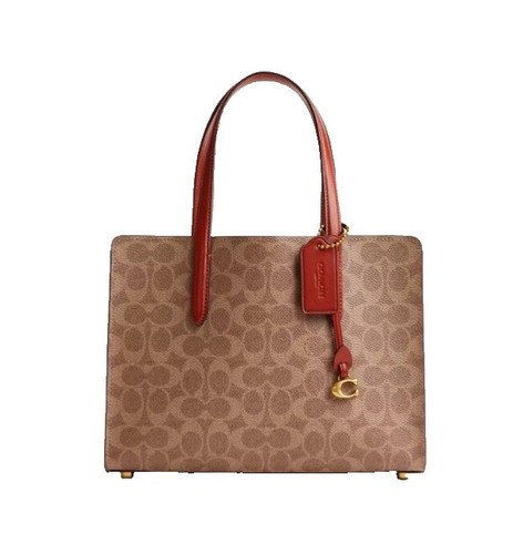 COACH キャンバス ハンドバッグ G0773-11350P Auth Coach G0773-11350P Canvas Signature Tote Brown Used | eBay