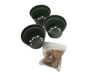 Rainbow Plant S/3 Seed Starter Kit Set 3 Mini Green Pots w/ Peat Pellets 370157