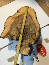 Tavola Di Ulivo Con Bellissime Vantare Fetta Per Lavorazioni In Legno