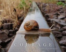Wildlife Snail Motivational Poster Print Classroom Wall Artwork Decor Courage