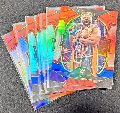 Billy Graham/ビリー・グラハム】2023 Panini WWE Select Silver