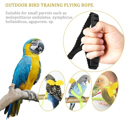 Bird Leash Budgie Accessories Parakeet Harness Parrot Training Leash - 第 4/10 張圖片