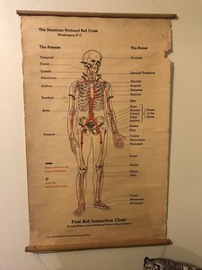 American Red Cross Charts