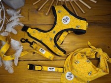 dog harness Busy Bee Collection 4 Piece Set No-Pull harness UK Harness