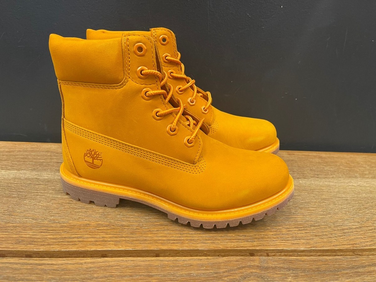 靴 timberland Timberland Women's Footwear 50TH Anniversary Edition 6-Inch