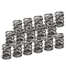 Supertech SPR-H100DR-16 Dual Valve Springs Diam. 30/21.8/16.80