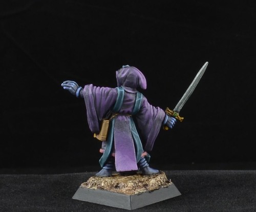 Bemalter Inquisitor aus Reaper Miniatures, D&D Figur männlicher Magier Kultist - Bild 3 von 4