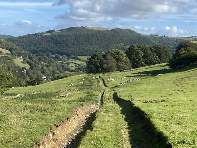 Photo 6x4 Rutted farm track Through fields south of the Ceiriog valley. c2021