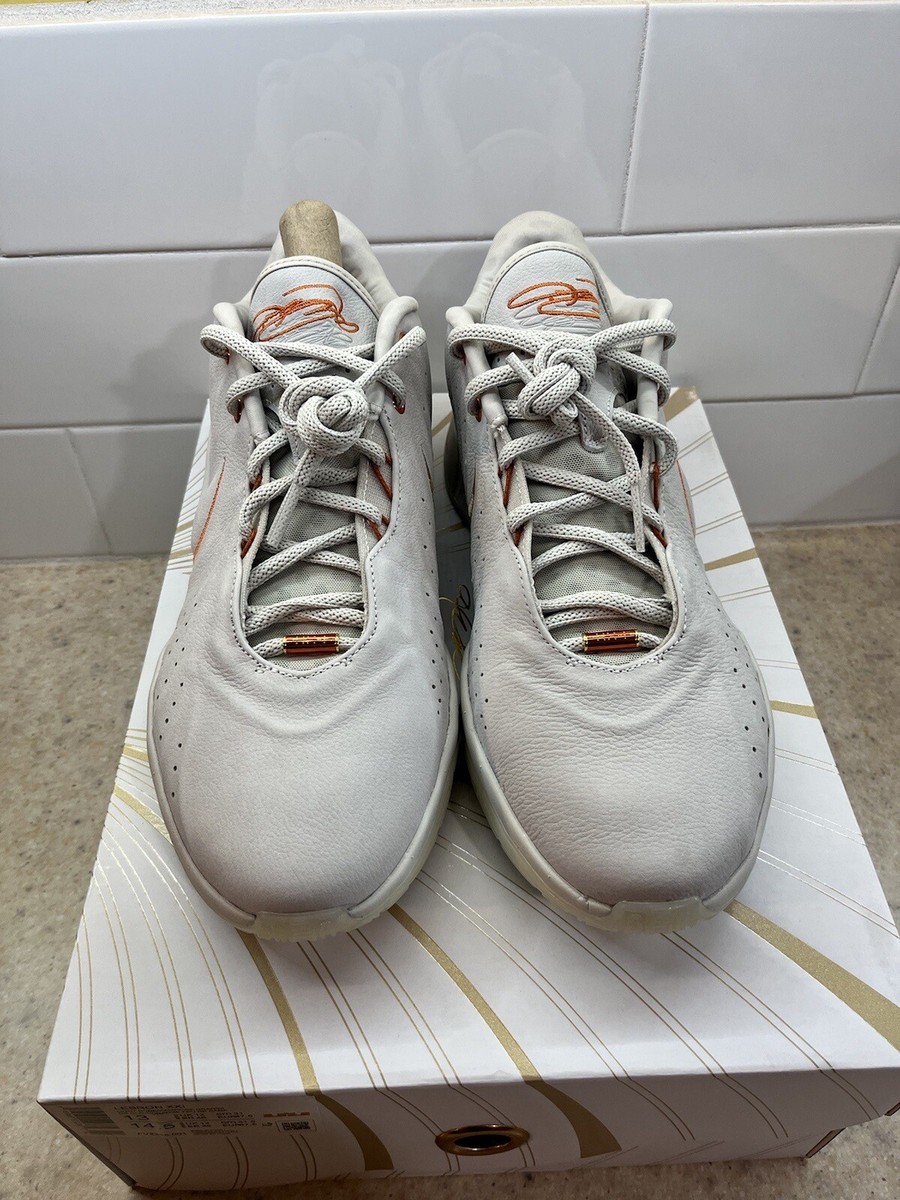 シューズ(男性用) Lebron XXI Akoya Nike Lebron XXI Men's Sneaker Akoya Light Bone White