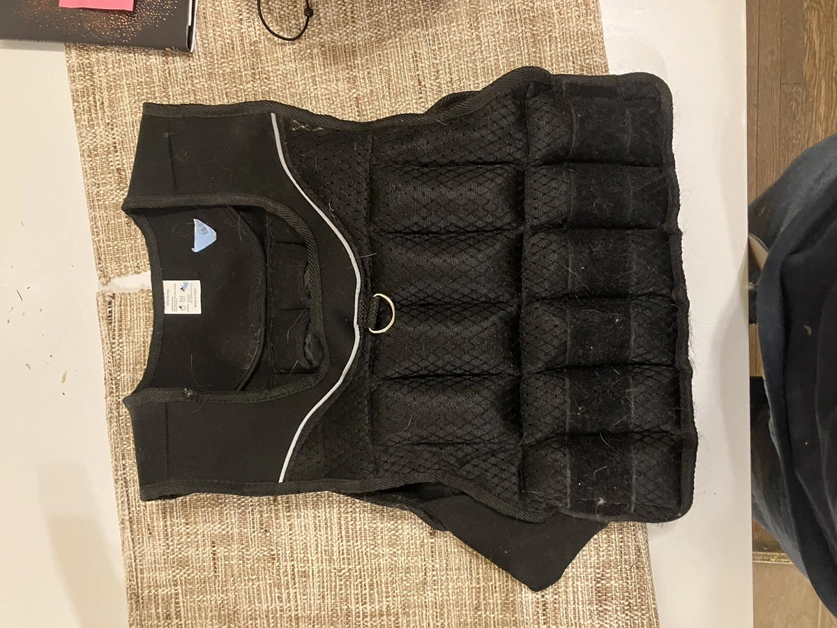 Gold's gym 20 lb vest new arrivals