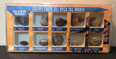 Onchopristis Sawfish Tooth Fossils-Lot of 10-Dinosaur Age 1 1//2-2 inch #14047
