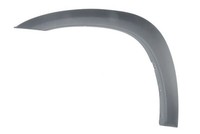 Blic 5703-08-8179373P Zierleiste StoßStange Vorne Links FüR Toyota RAV4 II