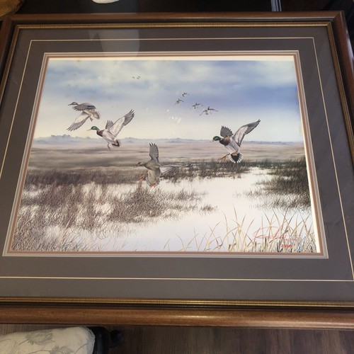 Mallard Landing Art Print by Ron Atwood Signed and Numbered 182/2000