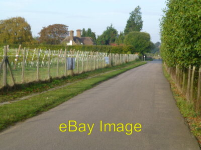 Foto 6x4 Straße durch das East Malling Forschungszentrum Blick nach Westen The c2016