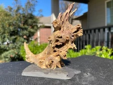 DRIFTWOOD CHOLLA AQUARIUMS FISH REPTILES DECOR PET SUPPLIES GARDEN AQUASCAPING