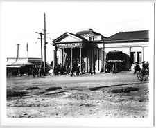 c.1911 SAN FRANCISCO SUTRO BATHS ENTRY&CUT-SECTION GIANT REDWOOD TREE~8x10 PHOTO