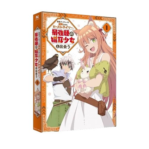 C - Control Money Of Soul And Possibility Limited Edition - Anime