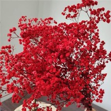 Dried-Babys-Breath-Flowers-Bouquet 17.2In 2500 Red Flowers Natural Gypsophil...