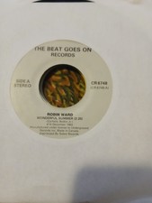 ROBIN WARD 45 WONDERFUL SUMMER & BARRY YOUNG ONE HAS MY HEART