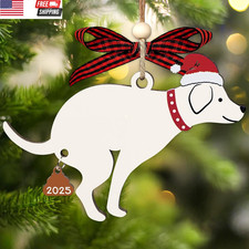 Dog Ornament - 2 Layer Funny Christmas Ornaments 2025 to Tree Decoration - Humor