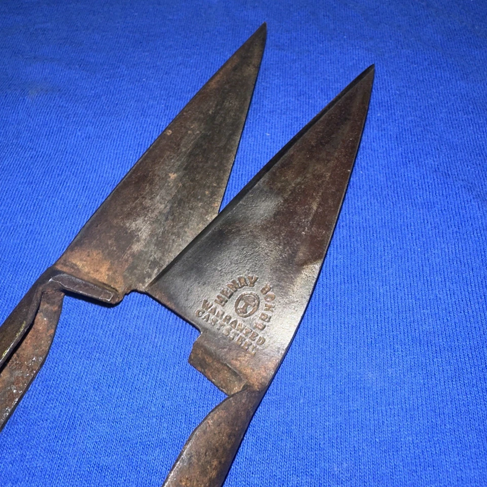 Antique Vintage Primative Hand Shears Sheep Goat Farm Tool Henry Boker Rare!! - Image 3 of 4