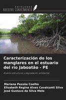 Mariana PessôA Coelho (U. A.) | CaracterizacióN De Los Manglares En El...