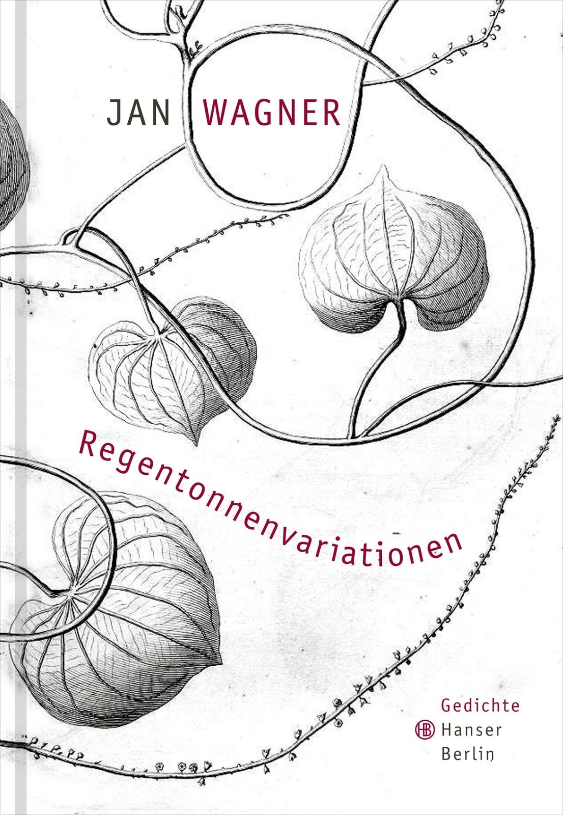 Thumbnail - Regentonnenvariationen Jan Wagner