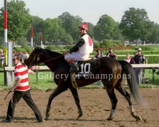Thunder Rumble 1992 Travers Stakes Photo 8" x 10 - 24" x 30" 