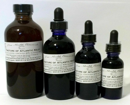 Atlantic Kelp Tincture, Extract, Thyroid, Seaweed, Multiple Sizes - Picture 2 of 2