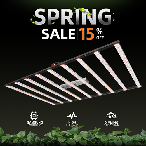 Barra de luz LED de crecimiento Spider Farmer serie SE Samsung espectro completo interior - Imagen 56 de 62