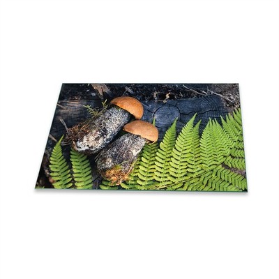Herdabdeckplatten Ceranfeld Spritzschutz Glasplatte 80x52 Deko Essen Grün