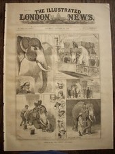 Circus White Elephant Liverpool PT Barnum Circus 1884 - Race for White Elephant