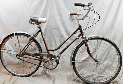 1969 Schwinn Collegiate Cruiser Bike 21