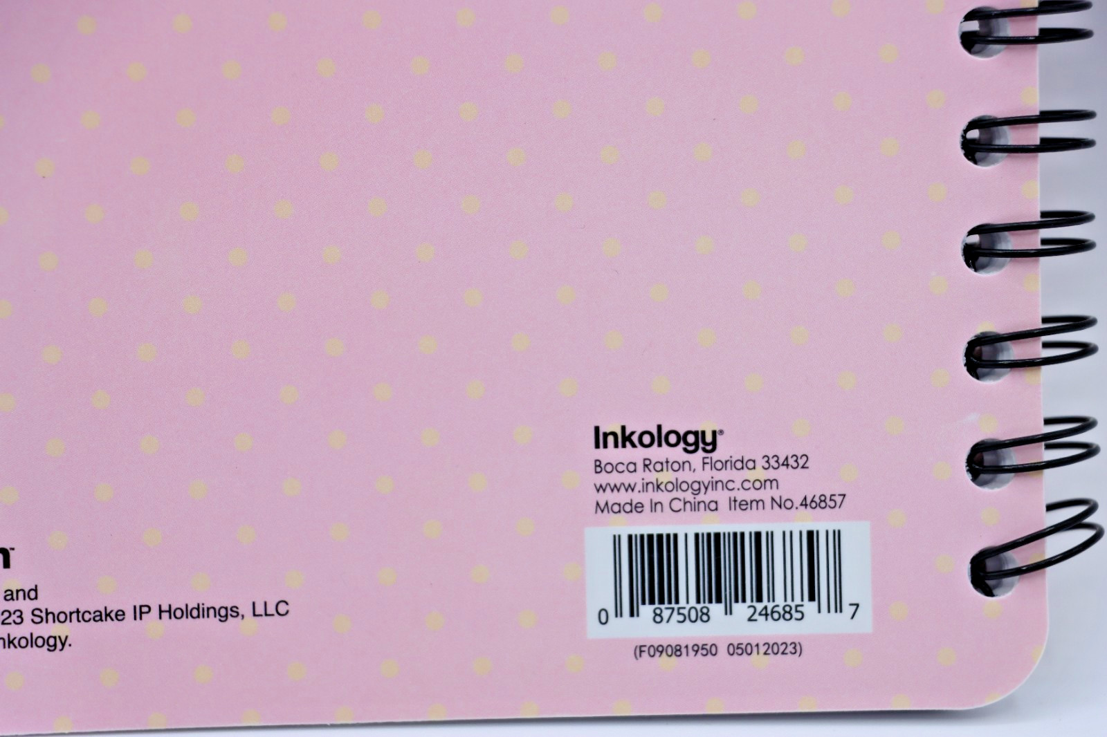 2023 Strawberry Shotcake 4-Tab Notepad Journal 6.5" x 8.5" NEW WildBrain