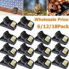 6 12X Pack Mouse Traps Rat Mice Killer Snap Trap Power Rodent Heavy Duty Pest