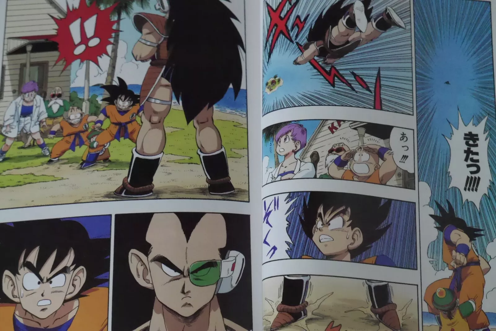 Imagen 4 de 12