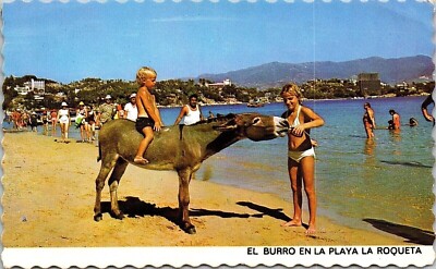 El Burro En La Playa La Roqueta Donkey Rooueta Beach Postcard UNP Unused VTG