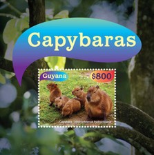 Guyana 2015 - Capybaras - Stamp Souvenir Sheet - MNH